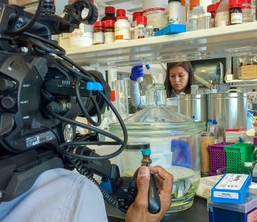 Custom Projects Image